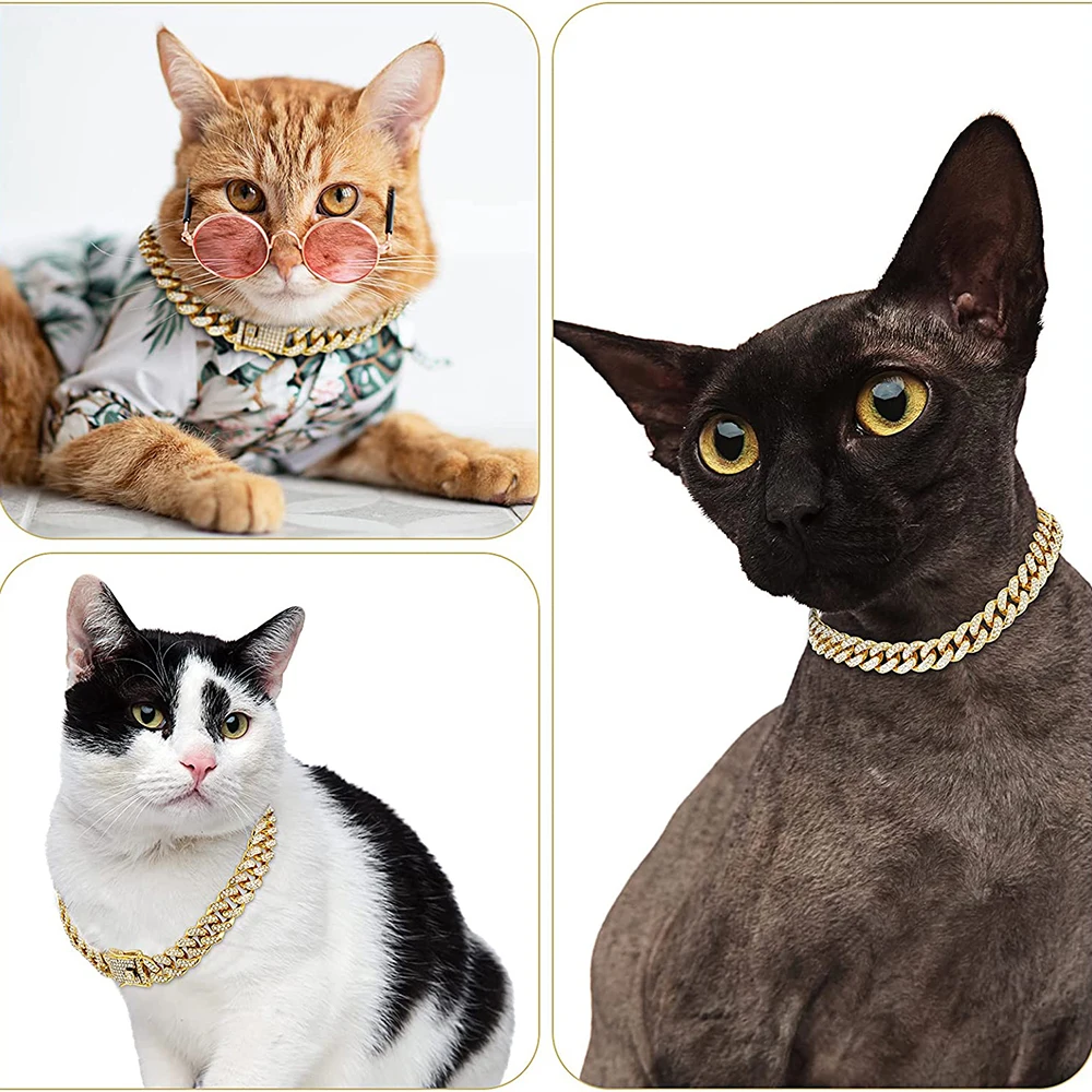 Strass Hund Kette Halsband Met – Chain Quick Link Bewertung und Preis